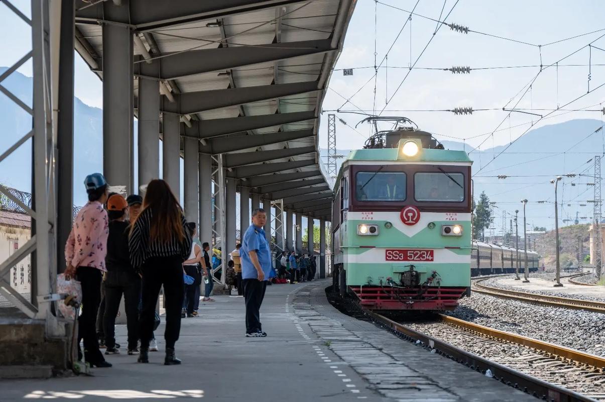 镜头下请多些尊重-猪猪博客